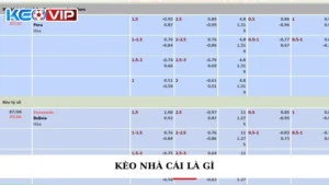 Kèo Nhà Cái Là Gì? Chi Tiết Cho Hội Viên Mới