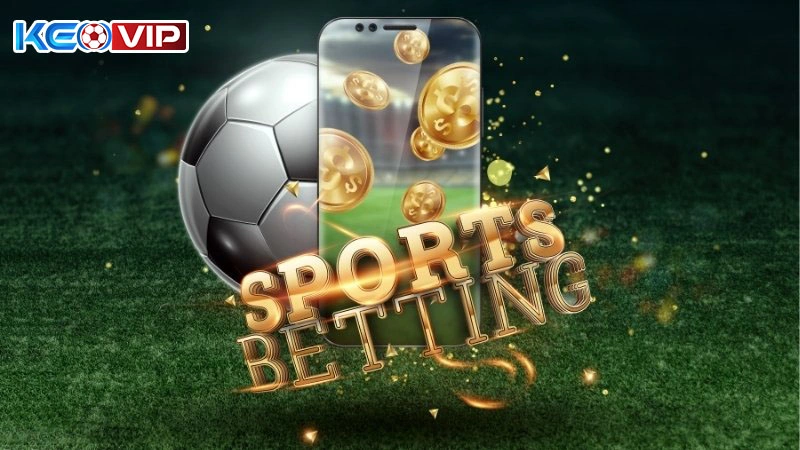 Tin tưởng vào mẹo cá độ tại chuyên trang